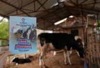 Denizli Büyükşehir’in Veteriner Danışmanlığı Üreticilerden Tam Not Aldı