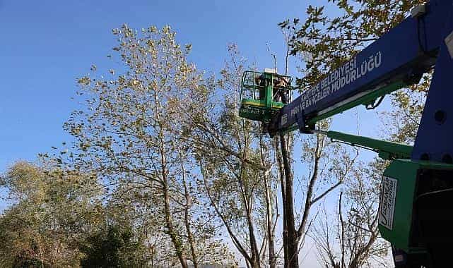 kartepede yesil alanlara bakim