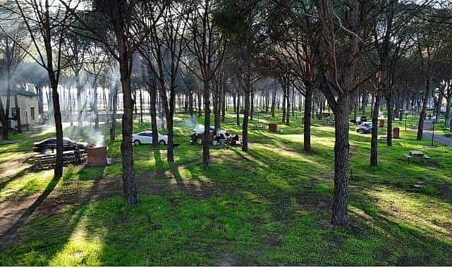 altinova mesire alani hizmete acildi