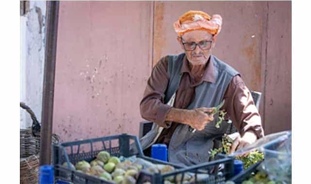 beydag incirinin katma degeri artiyor