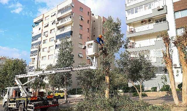 bucada budama seferberligi