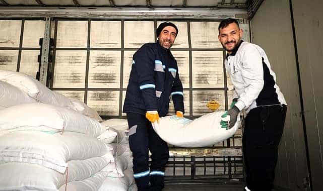 buyuksehirden aricilara yuzde 50 hibeli ari yemi