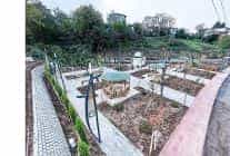 canikte park seferberligi park alanlari 144 bin metrekareye yukseldi