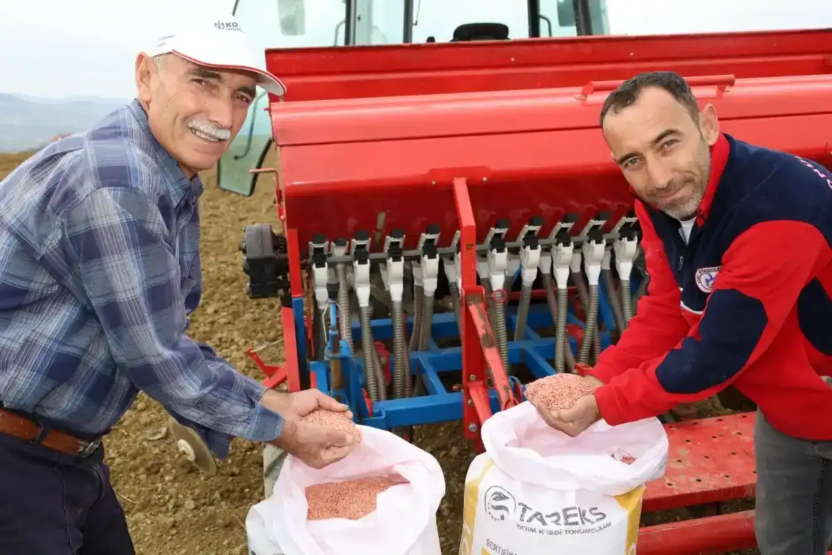 Kocaeli’nde Hibeli Tohumlar Tarlalarla Buluştu