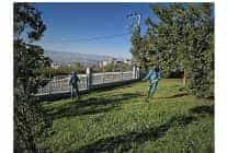 dilovasi millet bahcesi dip kose temizleniyor