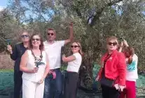 Artemis Lions Kulübü Urla’da Zeytin Hasadı Yaptı