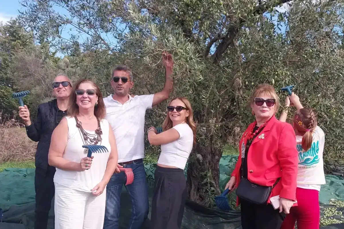 Artemis Lions Kulübü Urla’da Zeytin Hasadı Yaptı