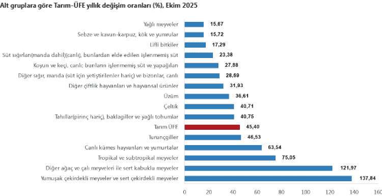 Tarım-ÜFE Yıllık %45,40 Arttı: Tek Yıllık Bitkisel Ürünlerde Sert Fiyat Artışı