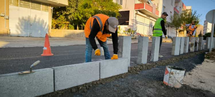 Mardin Yeşilli’de Büyük Dönüşüm: 50 Bin Ağaçlık Yeşil Hamle