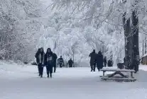 Ormanya, 2025’te Ziyaretçi Akınına Uğradı