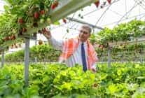 izmir buyuksehir belediyesi ureticiye destegini surdurdu