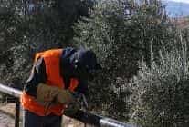 mahalle muhtari sanli ozlem baskanimizin hizmetlerinden cok memnunuz