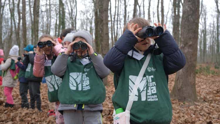 Ormanya, 2025’te Ziyaretçi Akınına Uğradı
