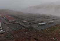 sokak hayvanlari icin modern saglikli ve dogal yasam projesi basladi