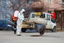 Uşak’ta Haşerelere Karşı Kesintisiz Mücadele