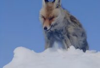 WhatsApp Image 2026 01 28 at 10.09.53