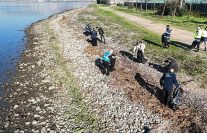 buyuksehir 2025te 16 bin 735 kilo atik topladi