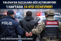 53AFA308 E7BD 4B85 B322 AB0CC904C0D7