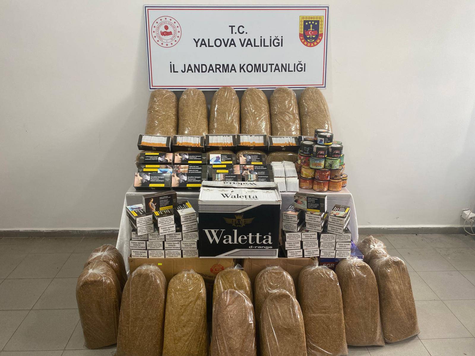 WhatsApp Image 2026 03 28 at 21.44.33