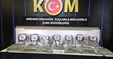 ANKARADA 25 KILO SKUNK ELE GECIRILDI 2 1285227 382413