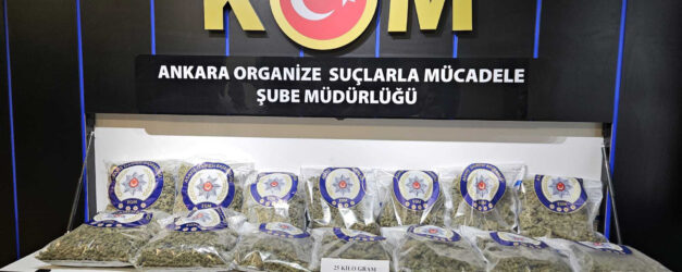 ANKARADA 25 KILO SKUNK ELE GECIRILDI 2 1285227 382413