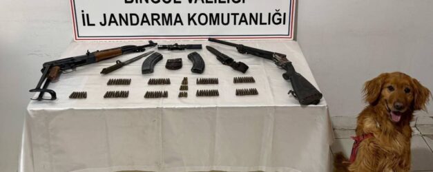 WhatsApp Image 2026 04 17 at 12.35.46