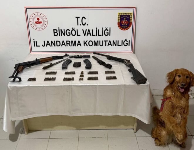 WhatsApp Image 2026 04 17 at 12.35.46