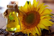 aycicek e1777191659371