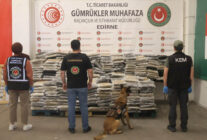 KAPIKULEDE 1 TON 153 KILO UYUSTURUCU EL 1404607 417361