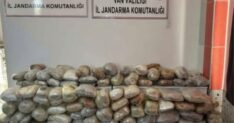 2 ILDE UYUSTURUCU OPERASYONLARI 3 TUTUK 1473543 438445